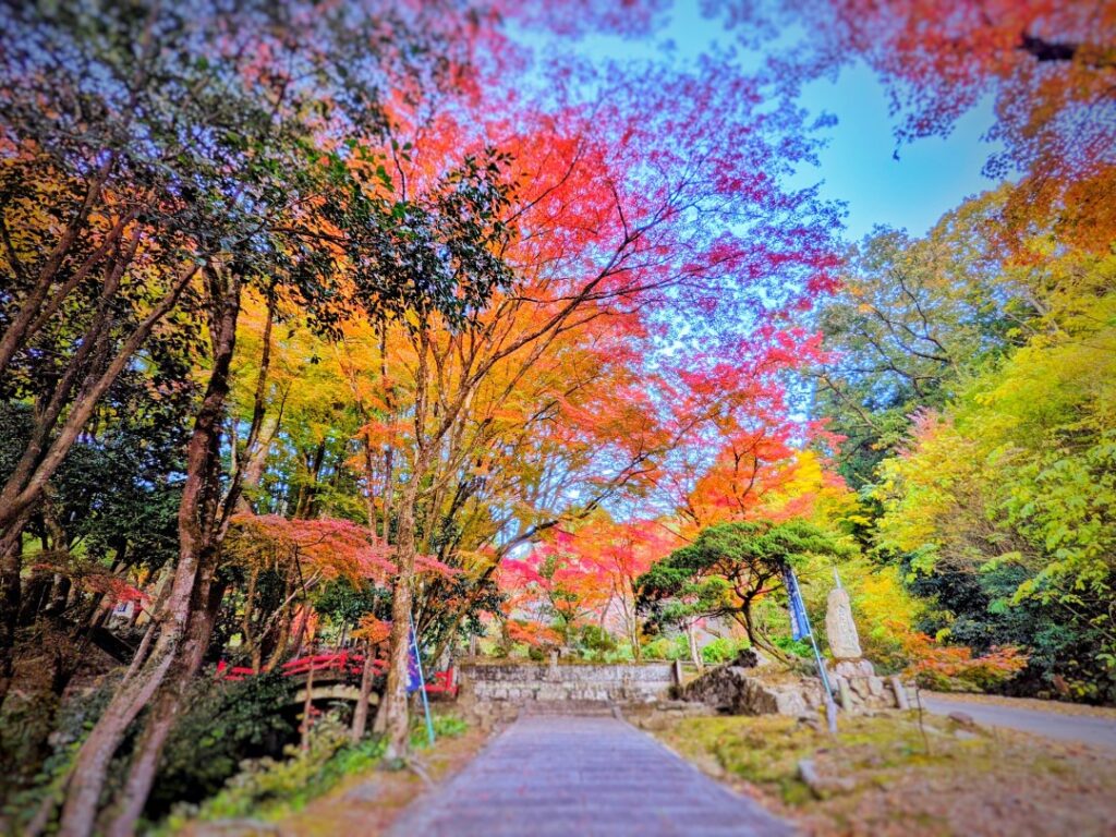 円通寺の参道