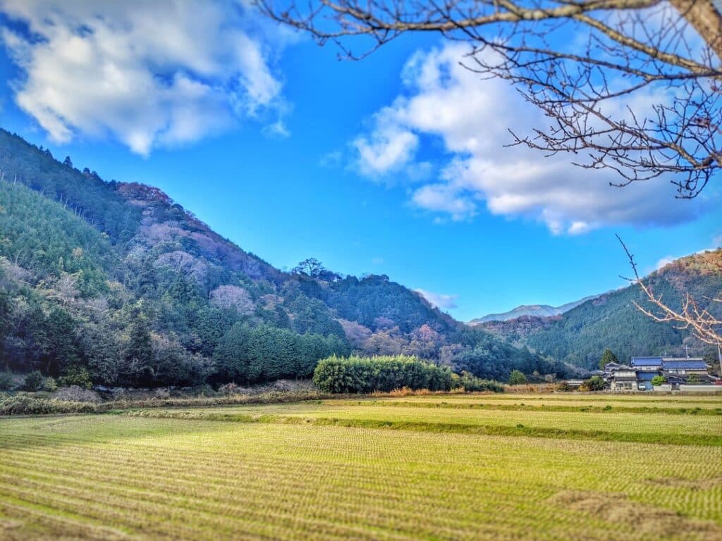 麓から見た日上山城跡