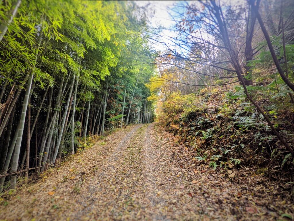 日上山城跡の登山道